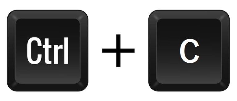 ctrl v.jpg
