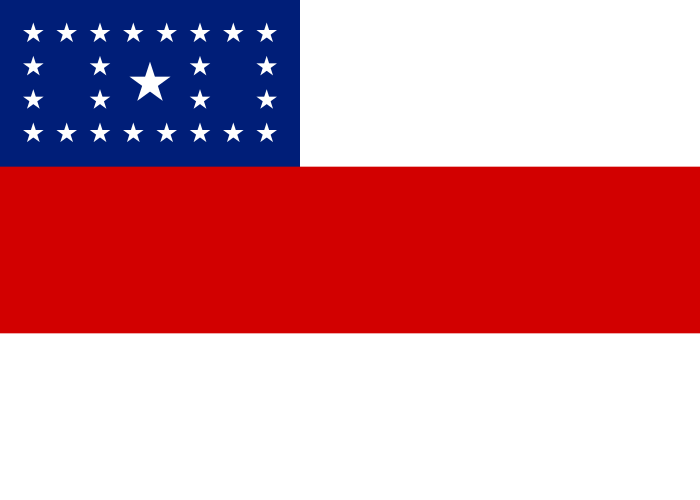 Bandeira_do_Amazonas.svg.png