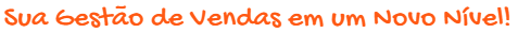 Sua gestão de vendas em um novo nível.png