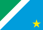 Bandeira_de_Mato_Grosso_do_Sul.png