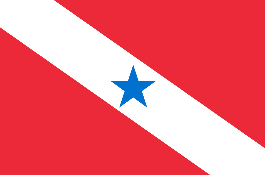 para.png
